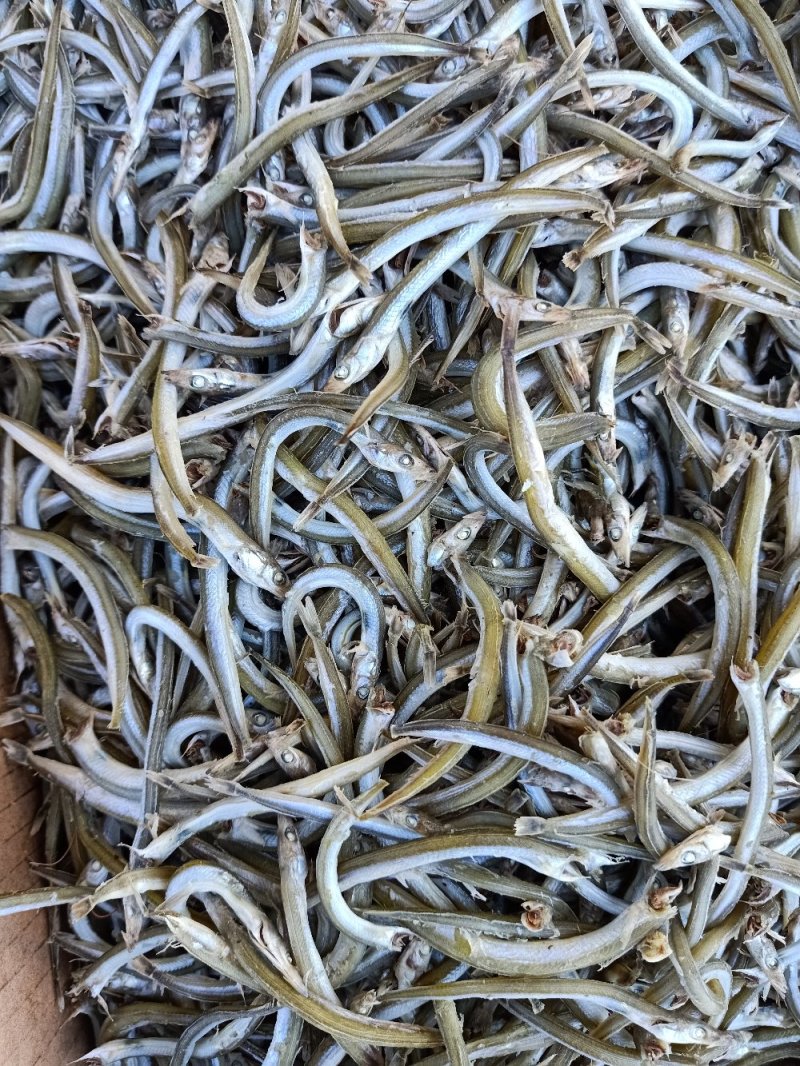 牙签鱼，面条鱼，银针鱼，青鱼干9斤净