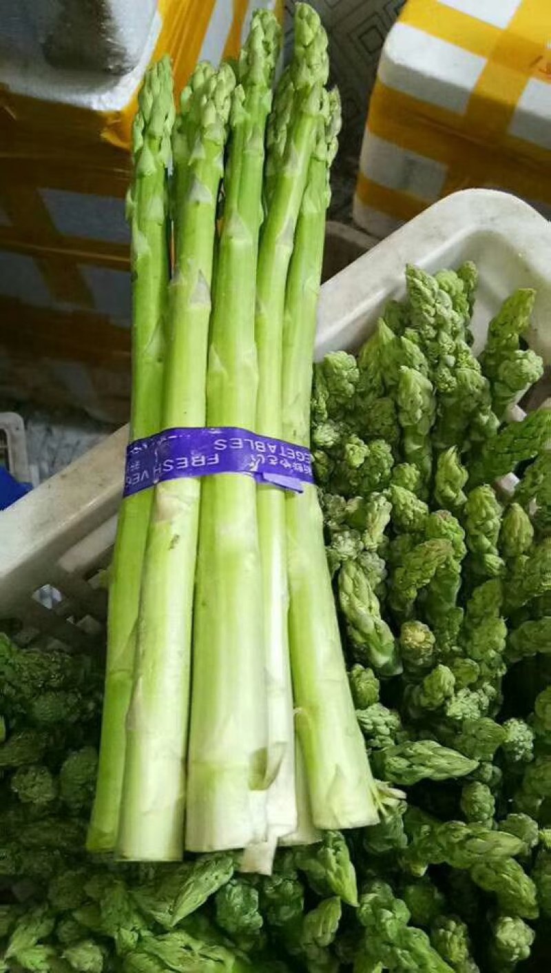青笋白笋大量上市！需要的联系我！