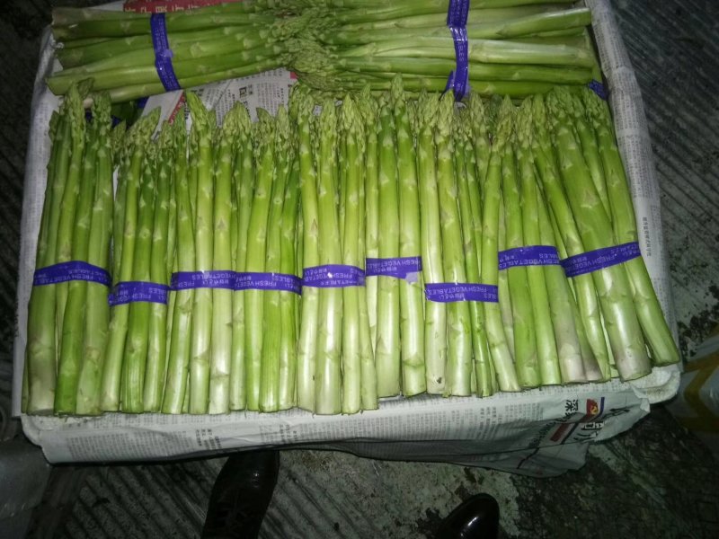青笋白笋大量上市！需要的联系我！