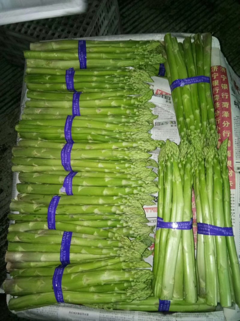 青笋白笋大量上市！需要的联系我！