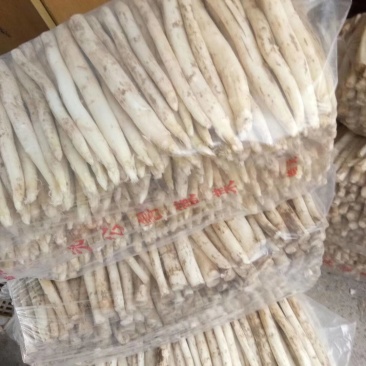 青笋白笋大量上市！需要的联系我！