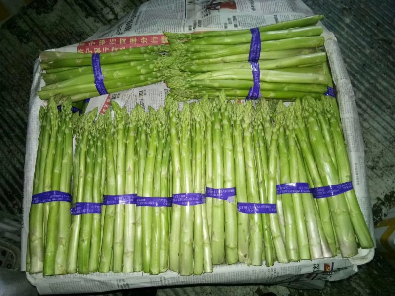 青笋白笋大量上市！需要的联系我！