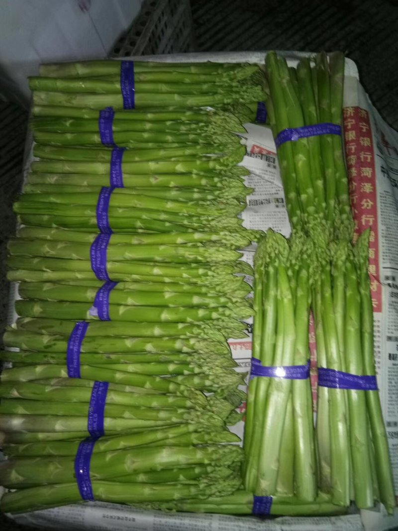 青笋白笋大量上市！需要的联系我！