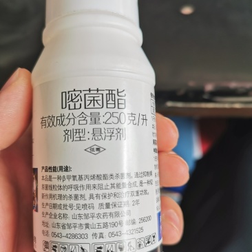 25%嘧菌酯花卉蔬菜果树白粉病红斑病叶斑病杀菌剂