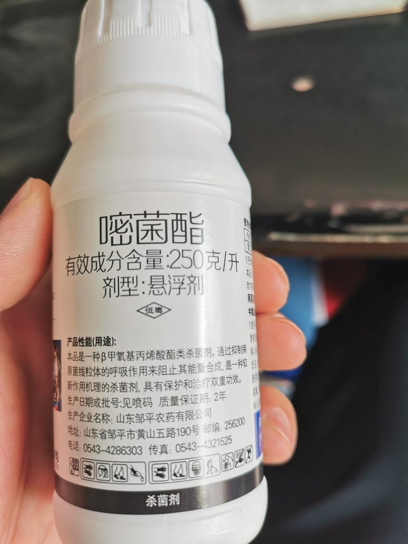 25%嘧菌酯花卉蔬菜果树白粉病红斑病叶斑病杀菌剂