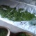 镇宁县白沙的村板岩组老树茶