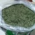 镇宁县白沙的村板岩组老树茶