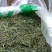 镇宁县白沙的村板岩组老树茶