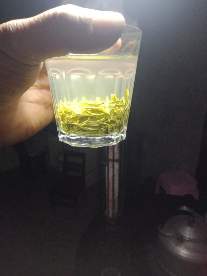 镇宁县白沙的村板岩组老树茶