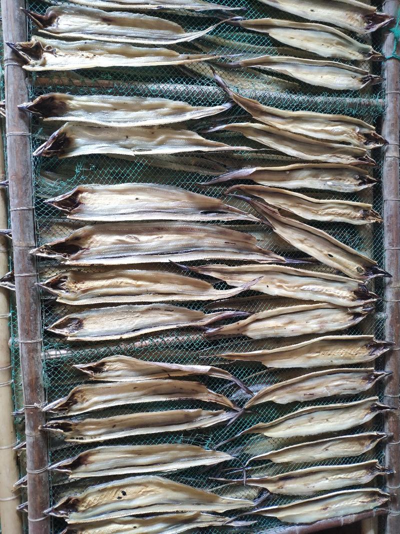 北部湾深海鳗鱼片鳗鱼干鱼干货小鱼干晒厂直销