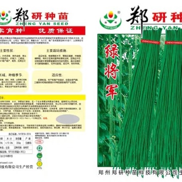 郑研绿将军豆角种子青豆角种子【深绿油绿墨绿翠绿】