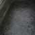 胡子鲶苗八胡鲶鱼苗八须鲶鱼苗