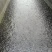 胡子鲶苗八胡鲶鱼苗八须鲶鱼苗