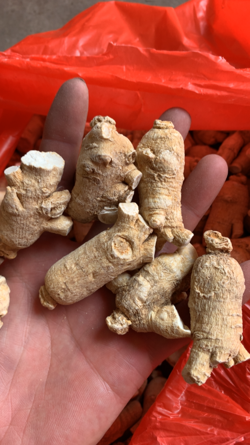 西洋参西洋参小片大片小个子大个子一斤起批产地直供