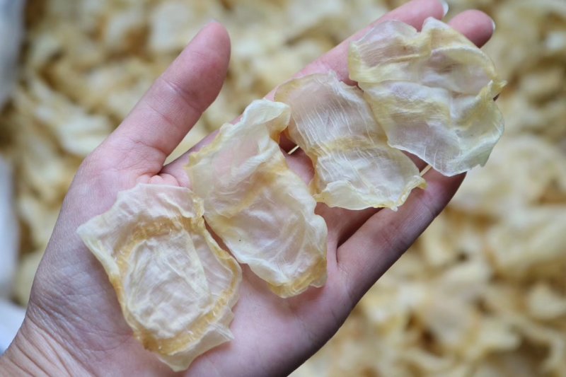 特级缅甸中号红鱼肚鱼胶清水干净漂亮满满的胶原蛋白可代发