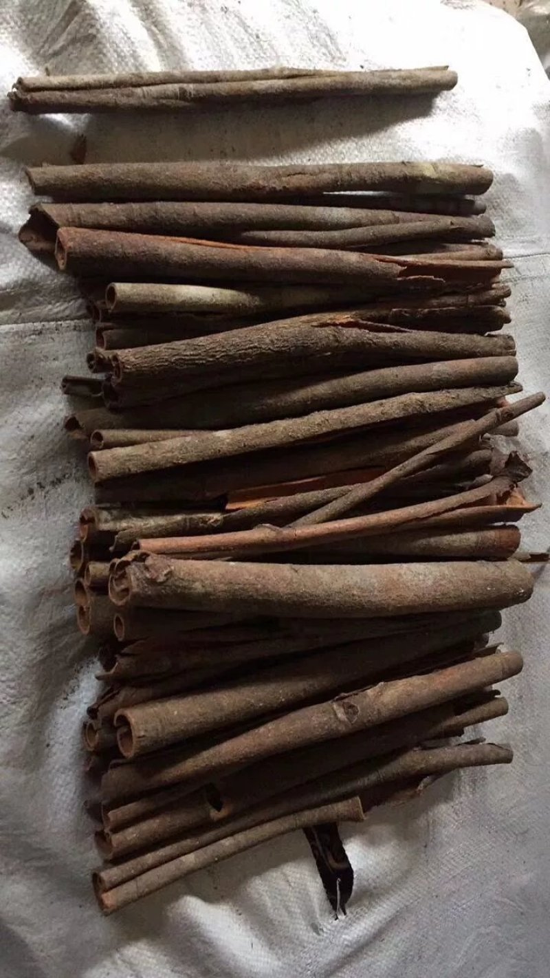 桂皮