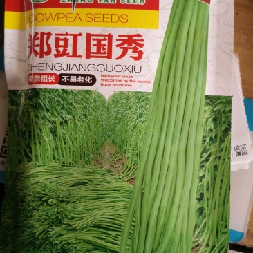 郑豇国秀翠绿条豆角种子抗病高产200克
