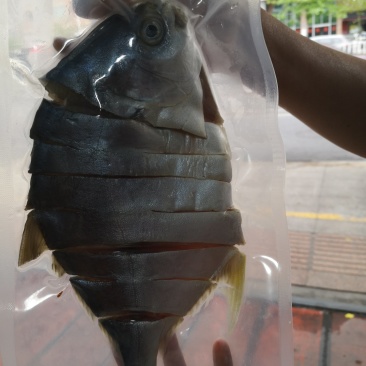 金鲳鱼干.自家淡晒.深海