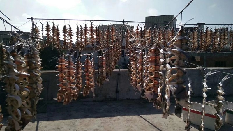 金鲳鱼干.自家淡晒.深海