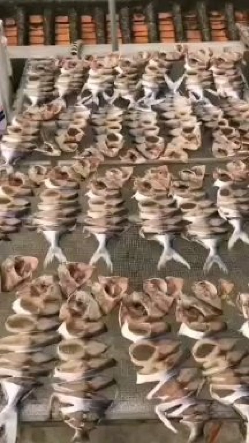 金鲳鱼干.自家淡晒.深海