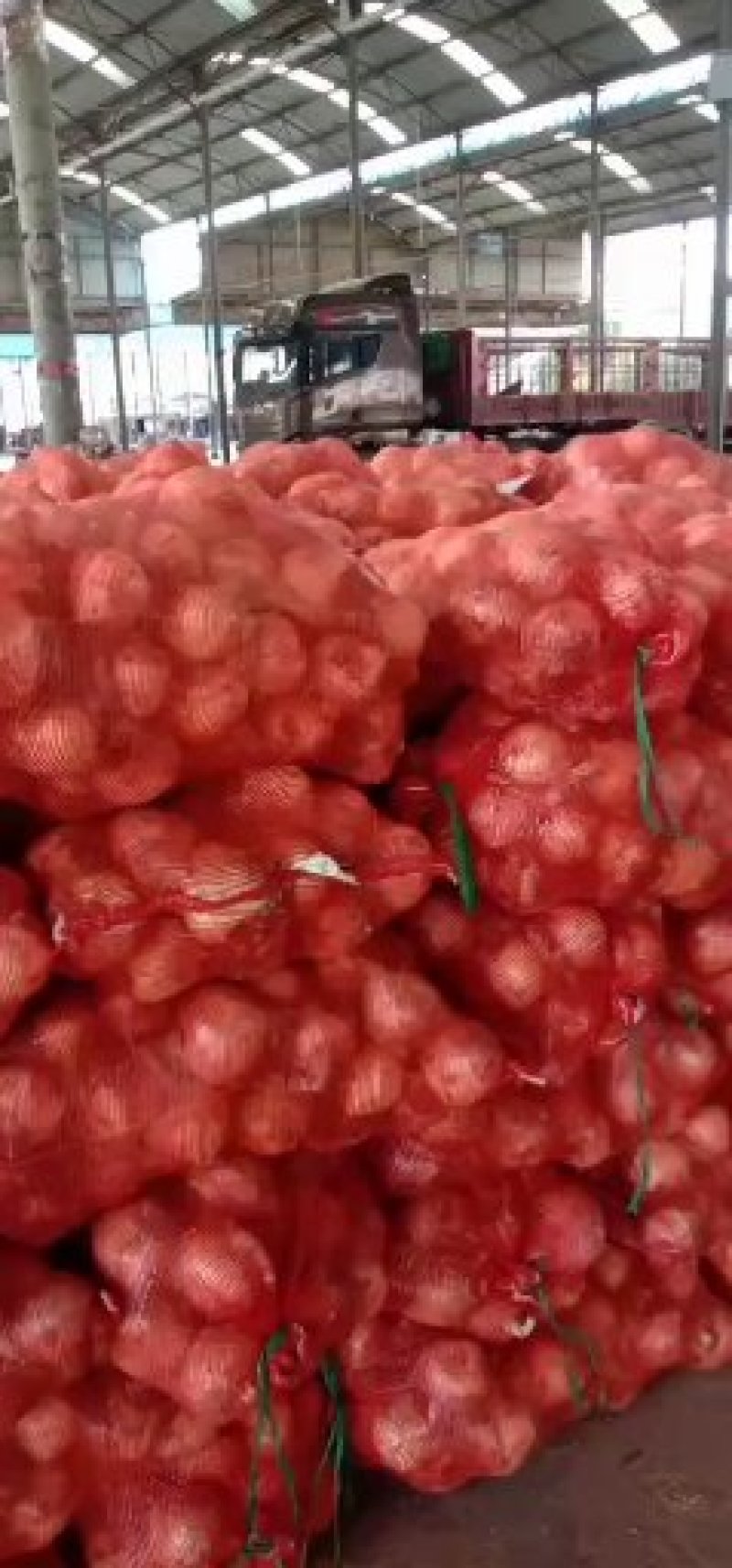 洋葱