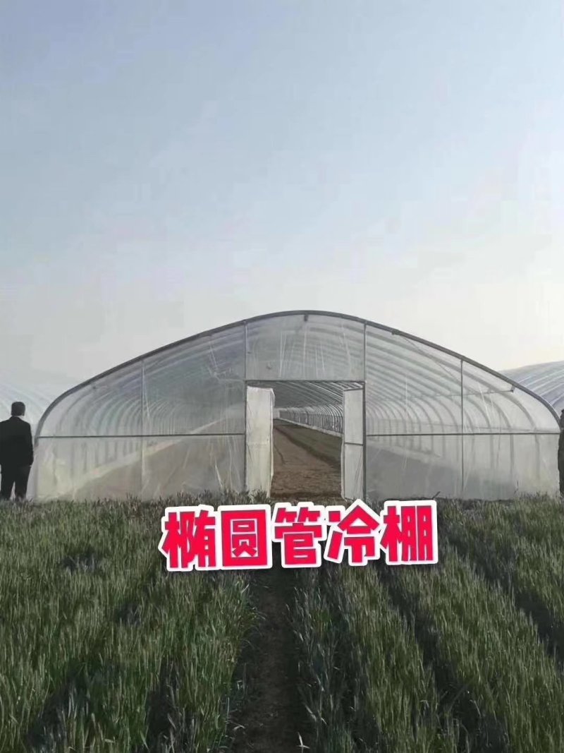单体大棚骨架，种植大棚蔬菜。种植西瓜，各种高档大棚，