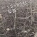 1.5以上杜梨苗，2～4公分，4—10公分杜梨树苗。