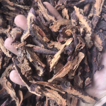 木瓜木瓜片皱木瓜木瓜干