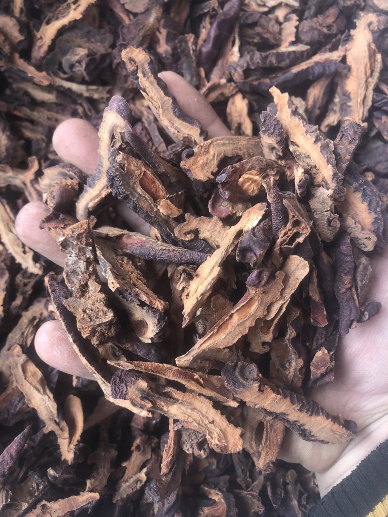 木瓜木瓜片皱木瓜木瓜干