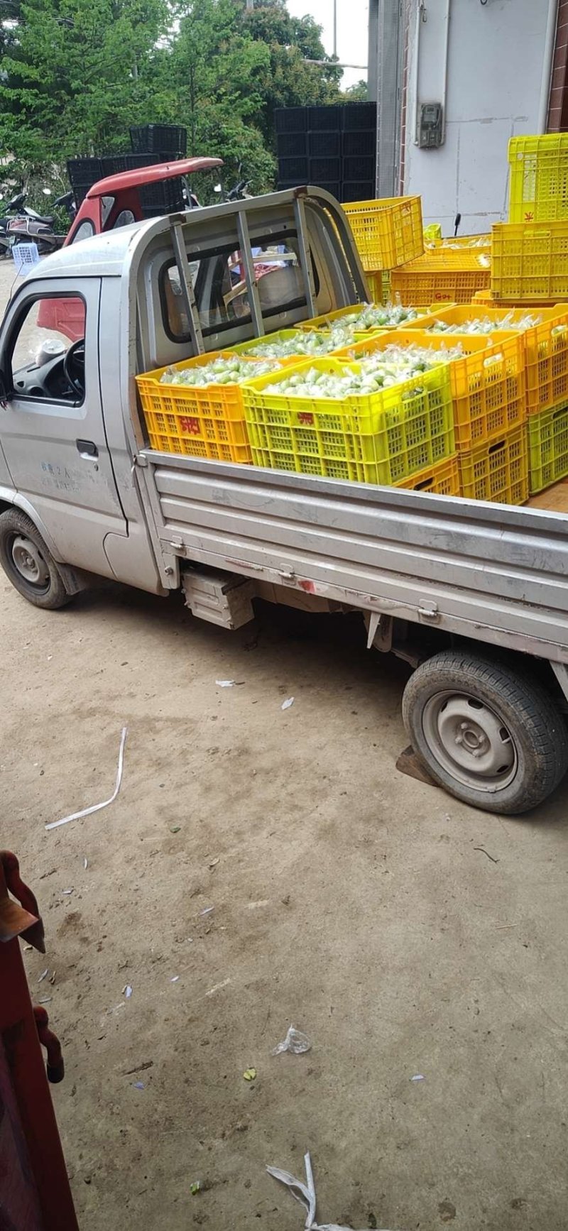蜜丝枣，诚信代办，基地直供，协助找车