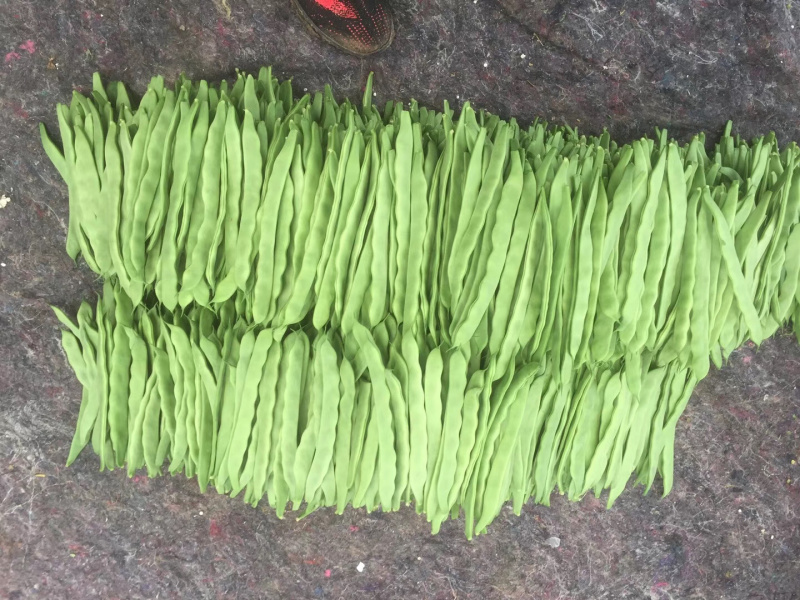 精品，一二级，通货，芸豆供应