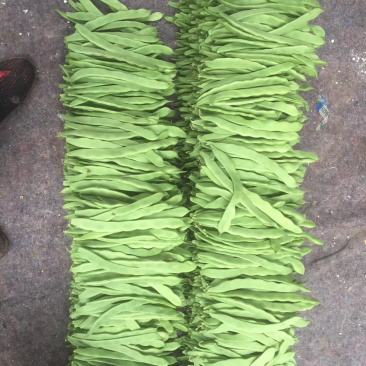 精品，一二级，通货，芸豆供应