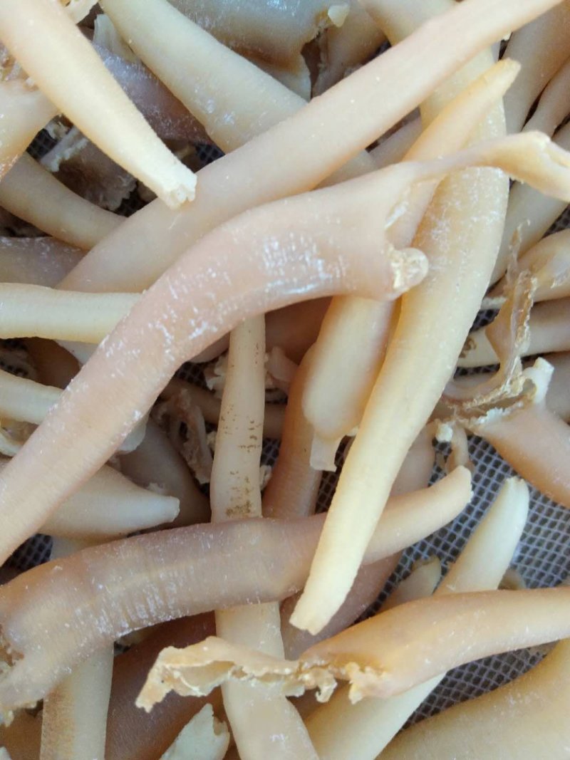 海竹，海笋贝干，海鲜干货