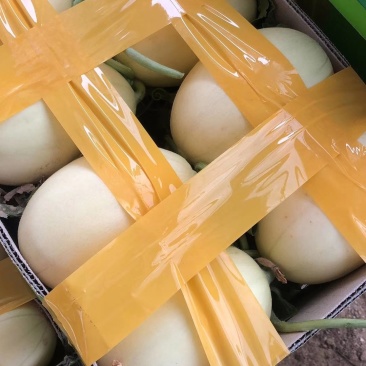 东方密少量上市了