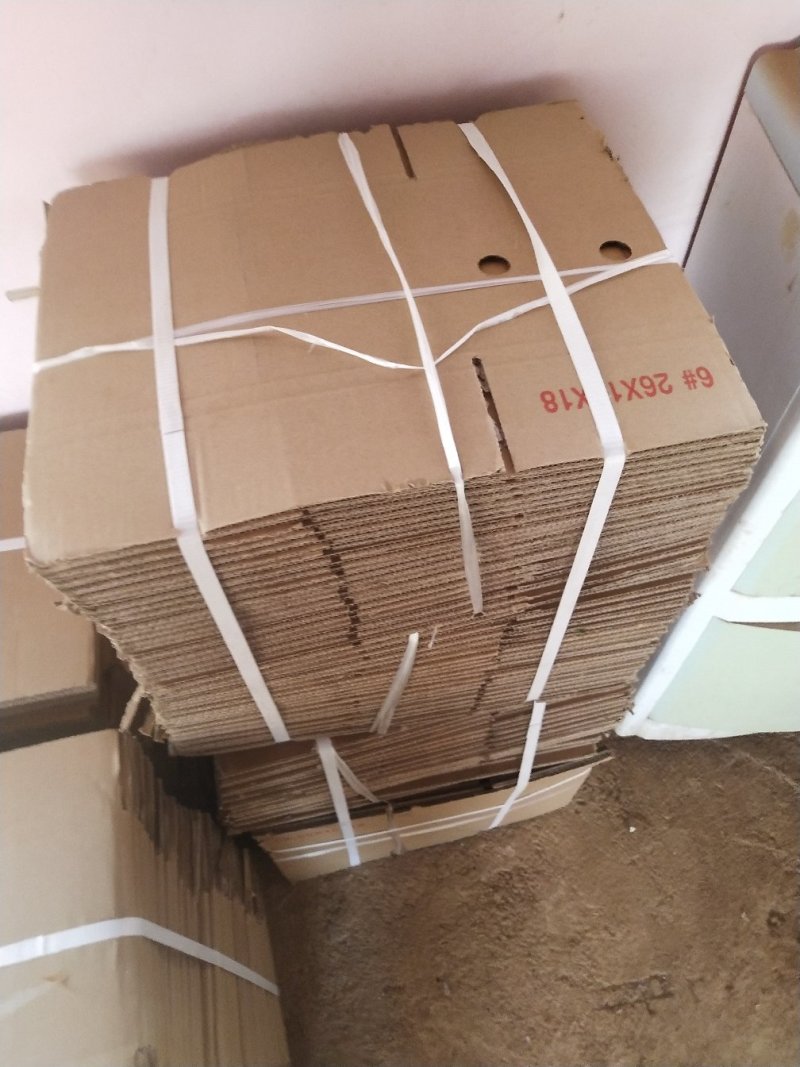 红分小蒜，场地直接采购，