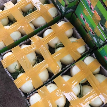 东方密少量上市了