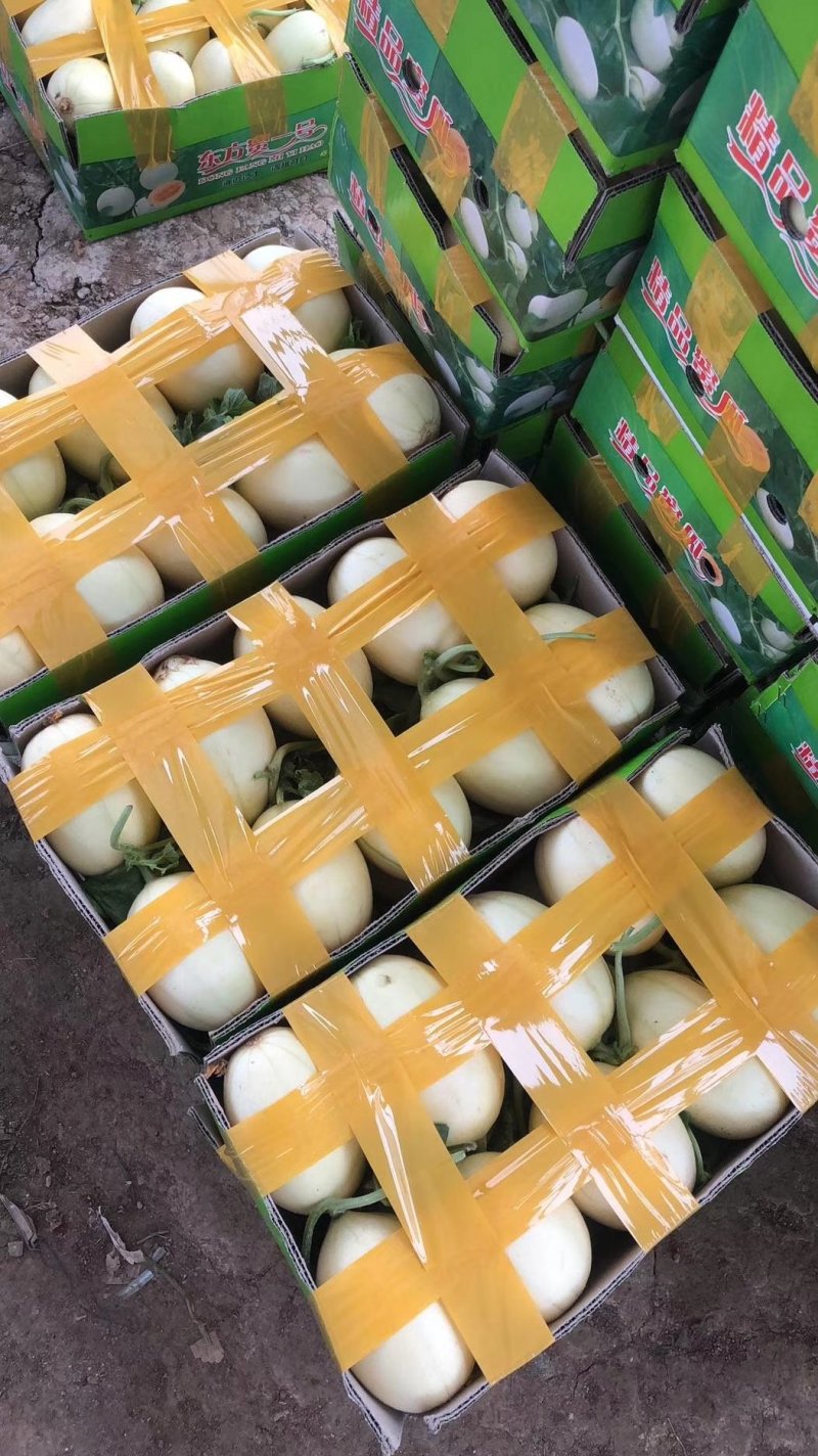东方密少量上市了