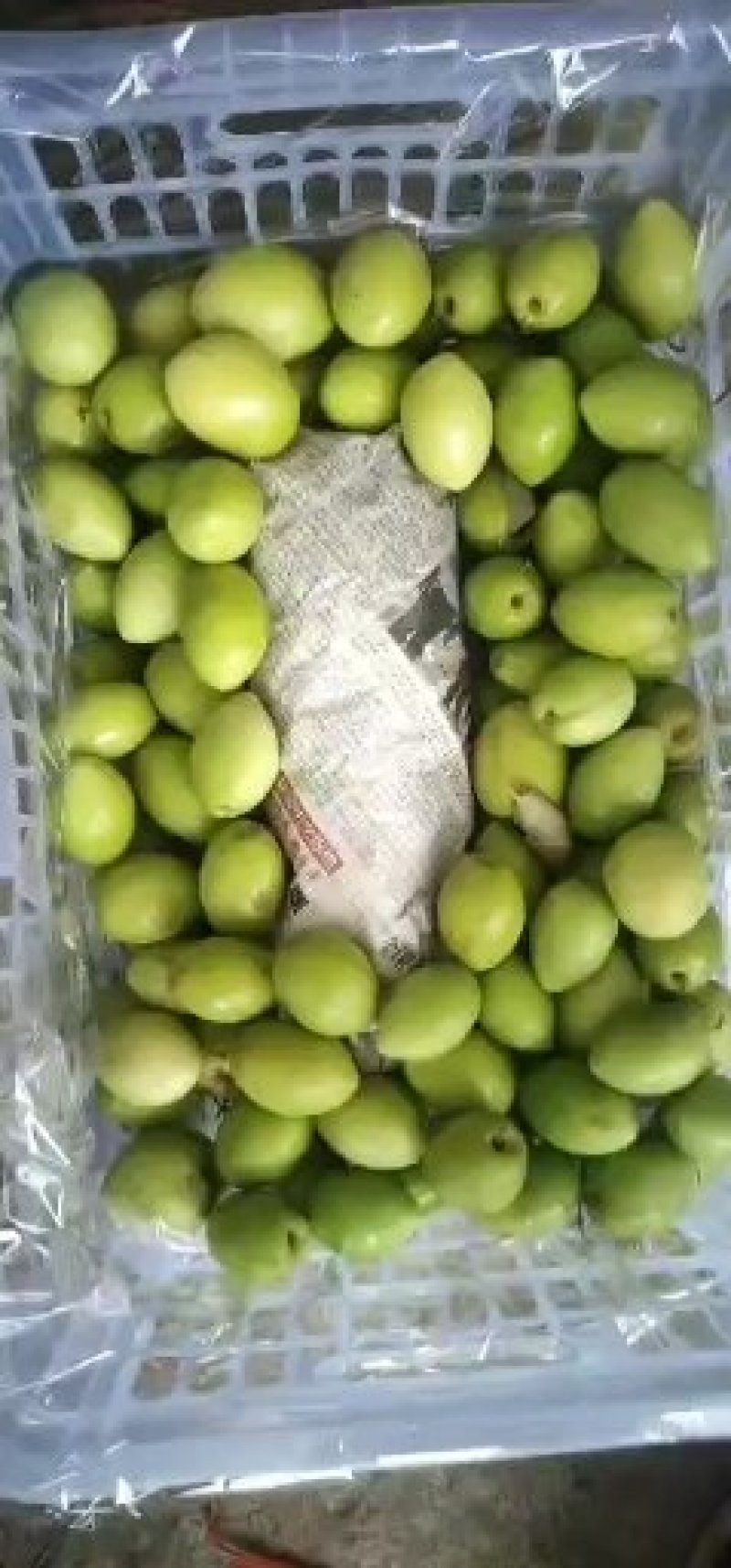 蜜丝枣，诚信代办，基地直供，协助找车