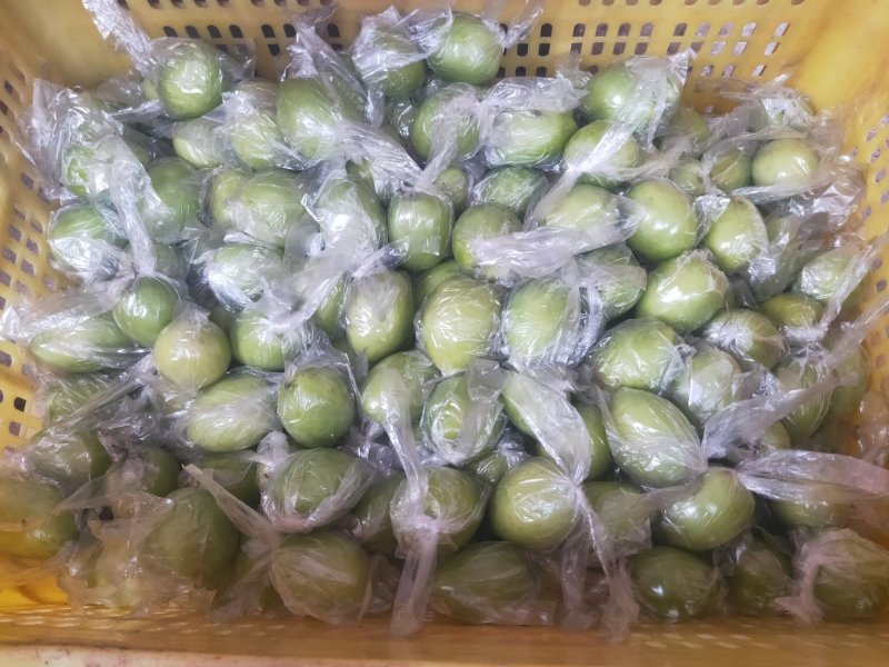 蜜丝枣，诚信代办，基地直供，协助找车
