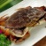 批发鲜活珍宝蟹质量保证个个鲜活