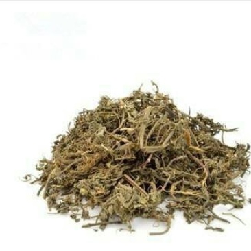 墨旱莲，常年批发供应墨旱莲中草药