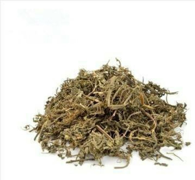 墨旱莲，常年批发供应墨旱莲中草药