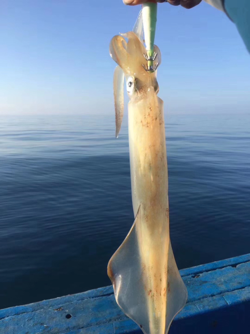 海钓大管