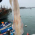 海钓大管