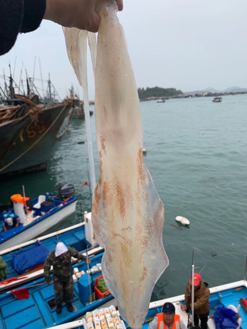 海钓大管