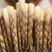 四川竹笋三月到八月保质保量，量大从优，欢迎在线咨询