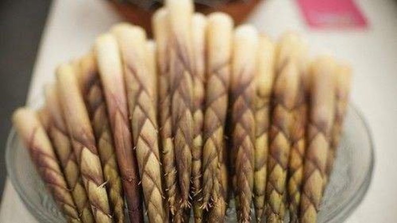 四川竹笋三月到八月保质保量，量大从优，欢迎在线咨询