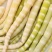 四川竹笋三月到八月保质保量，量大从优，欢迎在线咨询