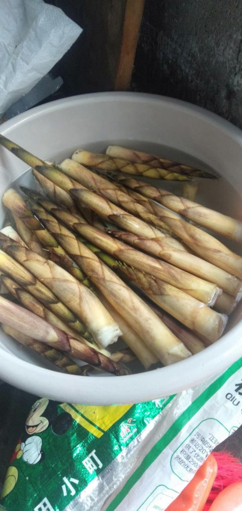 四川竹笋三月到八月保质保量，量大从优，欢迎在线咨询
