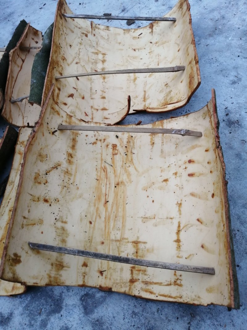 广西无琉野生桂皮桂板桂筒桂碎